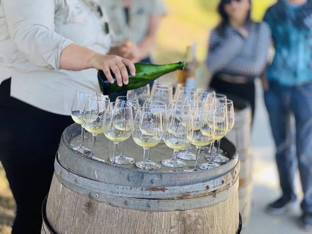 Malibu Wine Safaris